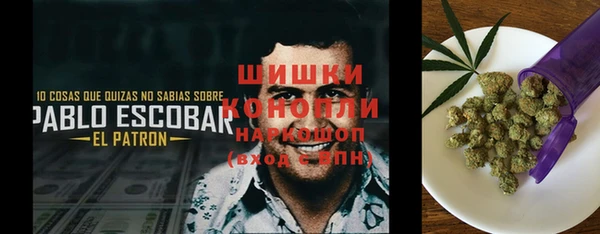 сатива Гусиноозёрск